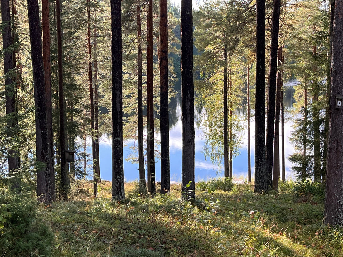 Tack 2025 för detta år