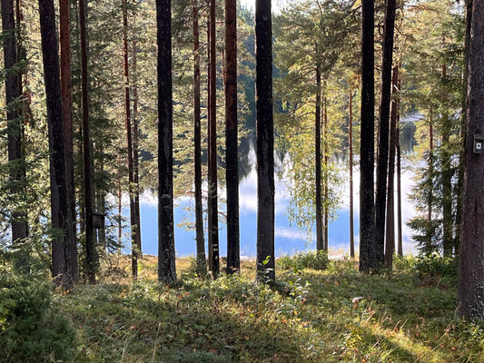 Tack 2025 för detta år